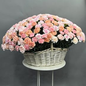 Композиция в корзине из 251 диантуса микс в Пушкино