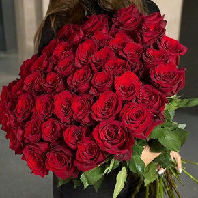 Букет 51 роза Эквадор Эксплорер (60 см) в Пушкино