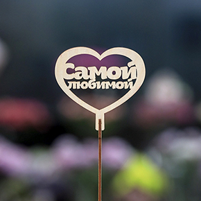 Топпер Самой Любимой в Пушкино