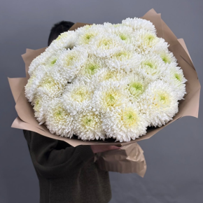 Букет из 27 хризантем Магнум в Пушкино