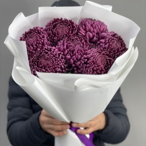 Букет "Винная легенда" из 7 хризантем Бигоуди в Пушкино