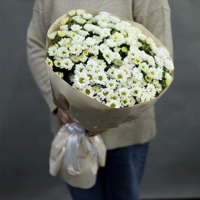 Букет "Милая моя" из 17 хризантем сантини в Пушкино