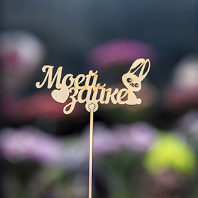 Топпер моей зайке в Пушкино