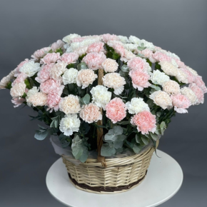Композиция в корзине из 101 диантуса микс в Пушкино