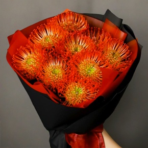 Букет из 9 лейко в Пушкино