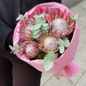 Букет из 5 протей и эвкалипта в Пушкино