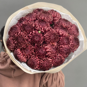 Букет 21 шоколадной хризантемы Бигоуди в Пушкино