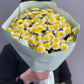 Букет "Моё солнышко" из 17 хризантем сантини  в Пушкино