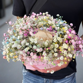 Композиция в коробке сердца из радужных гипсофил с топпером в Пушкино