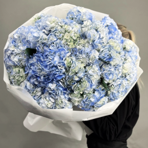 Букет из 23 синих гортензий в Пушкино