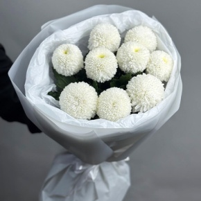 Букет из 9 белых хризантем Момоко в Пушкино