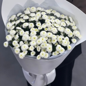 Букет "Белая дымка" из 25 хризантем сантини в Пушкино