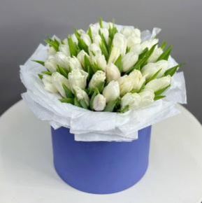 Букет из 49 белых тюльпанов в синей коробке в Пушкино