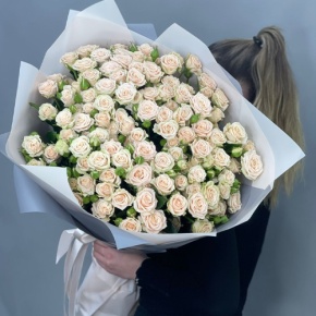 Букет из 25 кремовых кустовых роз (70 см) в Пушкино
