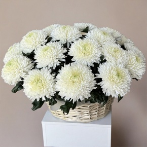 Композиция в корзине из 25 хризантем Магнум в Пушкино