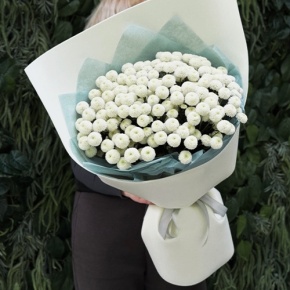 Букет из 25 хризантем Ньютон в Пушкино