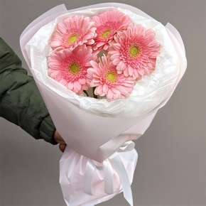 Букет из 5 розовых гербер мини в Пушкино