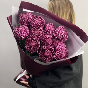 Букет "Изобилие" из 11 винных хризантем Бигоуди в Пушкино