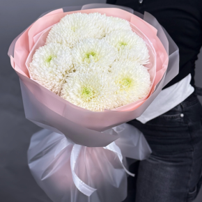 Нежный букет из 7 хризантем Магнум в Пушкино