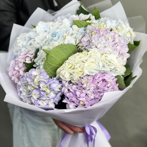 Букет из 9 Голландских гортензий микс в Пушкино