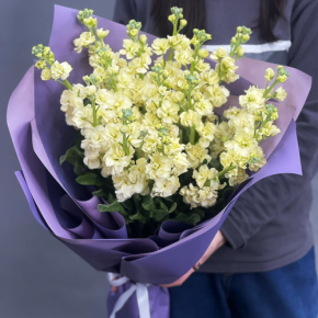 Букет из 15 лимонных маттиол в Пушкино