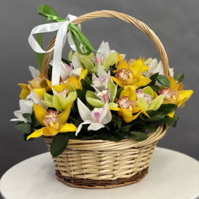 Композиция в корзине из 25 орхидей микс в Пушкино