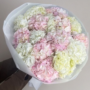 Букет из 17 нежных гортензий в Пушкино