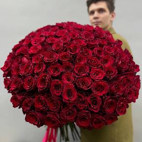 Букет из 101 красной Эквадорской розы Эксплорер (70 см) в Пушкино