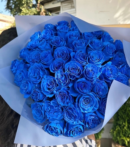 Букет из 51 синей розы Эквадор (60 см) в Пушкино