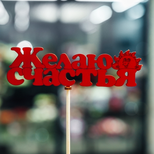 Топпер Желаю Счастья в Пушкино