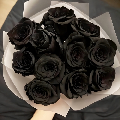 Букет "Черная королева" из 11 черных роз Эквадор (60 см) в Пушкино