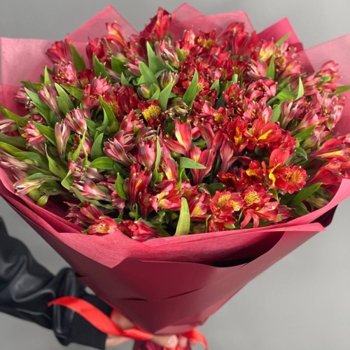 Монобукет из 25 красных альстромерий в Пушкино