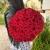 Букет 51 красной розы 50 см в Пушкино