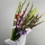 Букет из 25 гладиолусов микс в Пушкино Букет из 25 гладиолусов микс в Пушкино