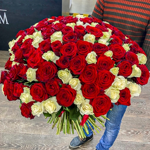 Букет 151 роза красный и белый микс (60 см) в Пушкино