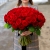 101 красная роза (50 см) в Пушкино