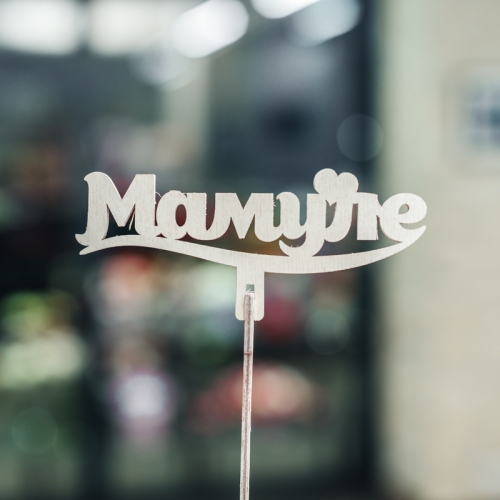 Топпер Мамуле в Пушкино