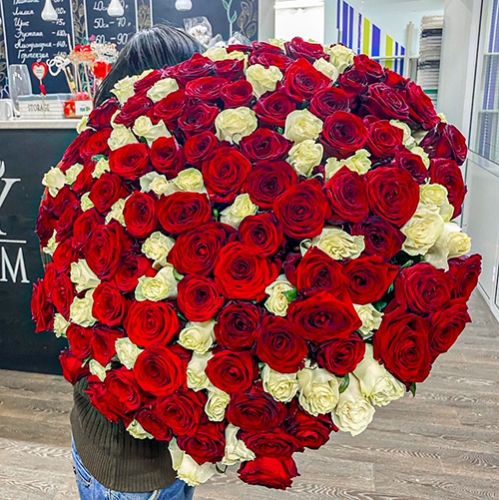 Букет 151 роза красный и белый микс (60 см) в Пушкино