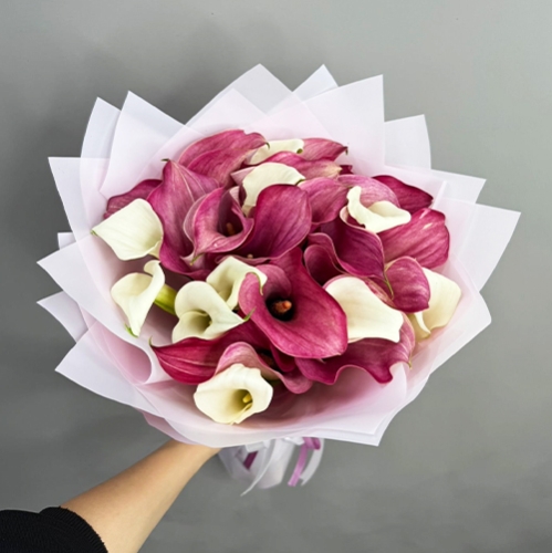 Букет из 25 нежных калл в Пушкино