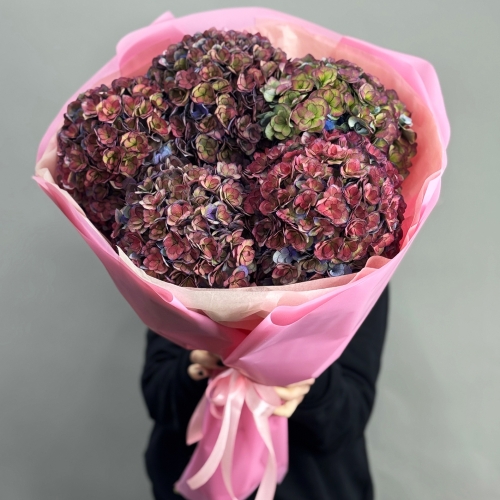 Букет из 5 космических Голландских гортензий в Пушкино