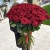 Букет из 101 красной розы (90 см) в Пушкино Букет из 101 красной розы (90 см) в Пушкино