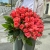 Букет 51 роза коралл (60 см) в Пушкино Букет 51 роза коралл (60 см) в Пушкино