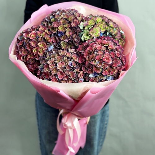 Букет из 5 космических Голландских гортензий в Пушкино