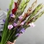 Букет из 25 гладиолусов микс в Пушкино Букет из 25 гладиолусов микс в Пушкино