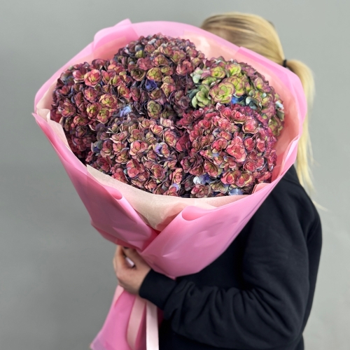 Букет из 5 космических Голландских гортензий в Пушкино